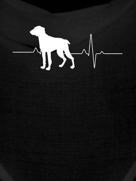 Weimaraner
