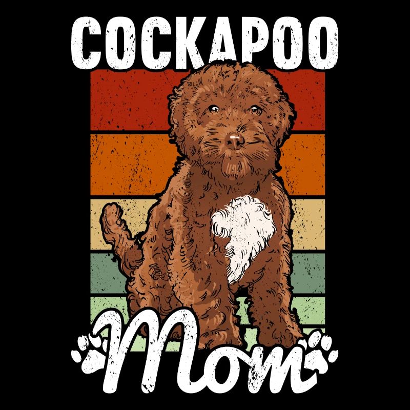 Cockapoo