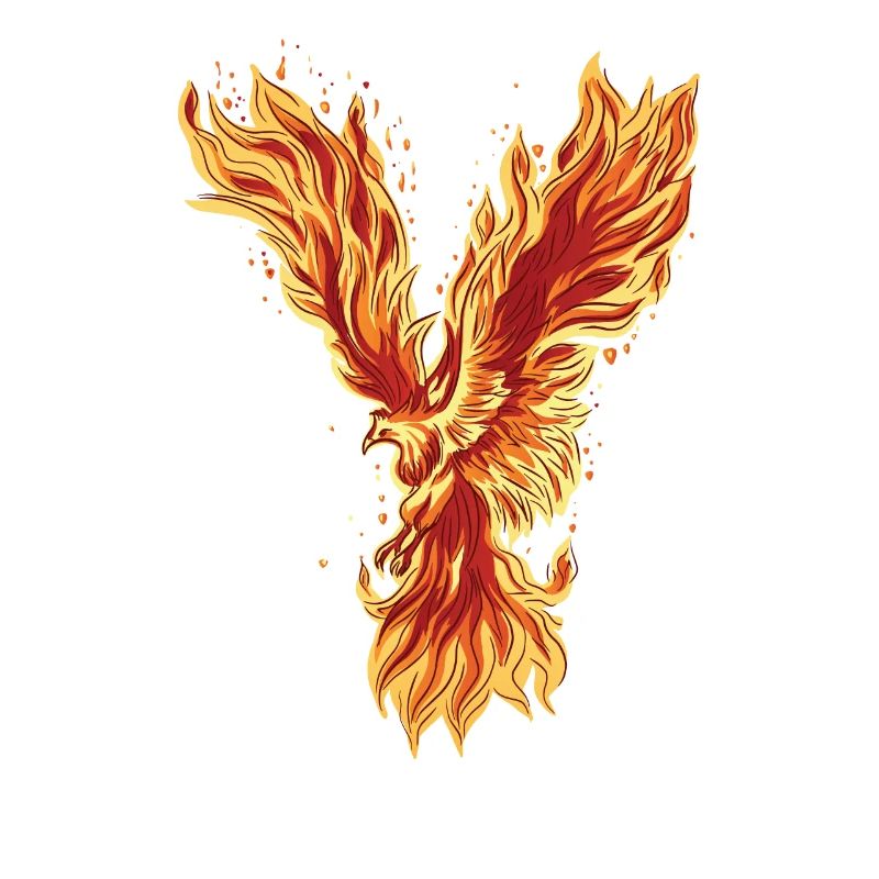 Phoenix Bird Mythical Creatures