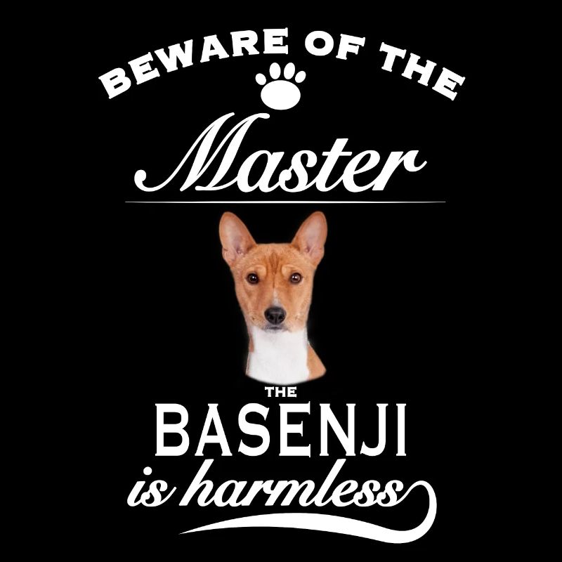 Beware of the master, harmless Basenji