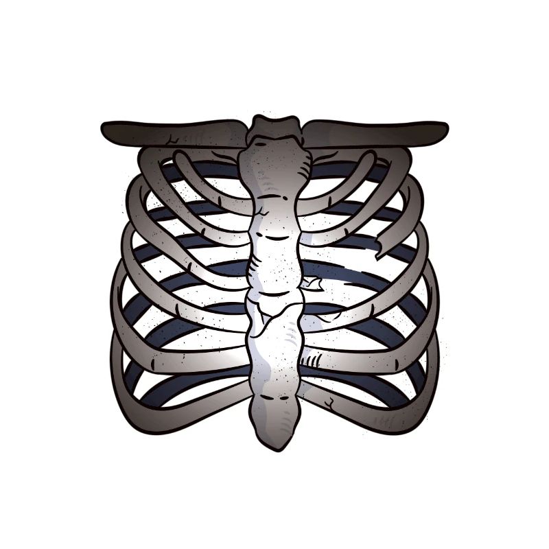 rad tech x-ray tech radiology tech radiology tech