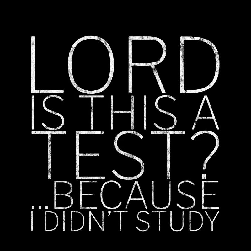 Lord Is This A Test, Because I Didn't Study 3