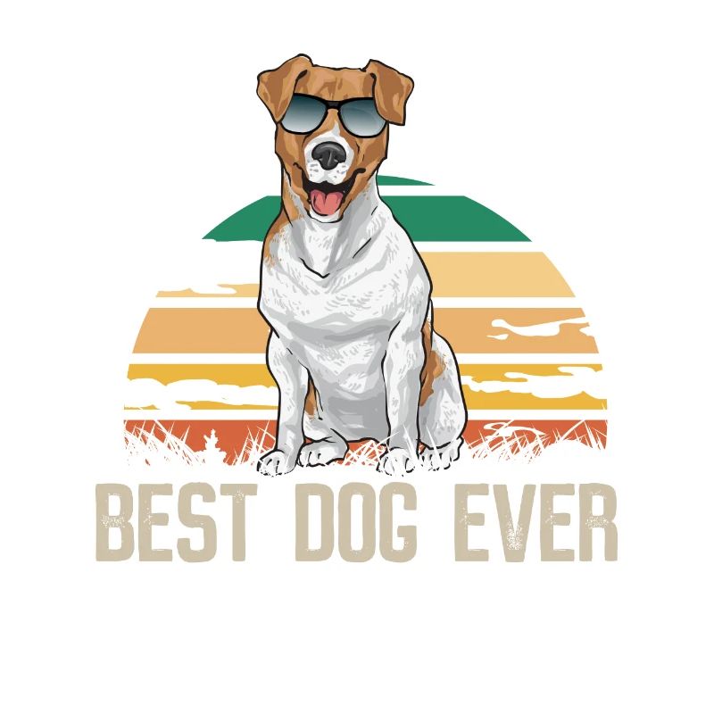 Jack Russell Terrier