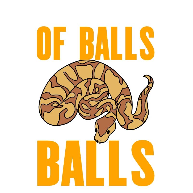 Ball Python Snake
