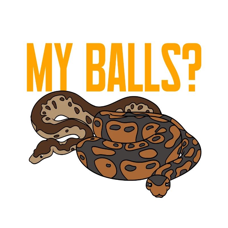 Kugelpython Schlange