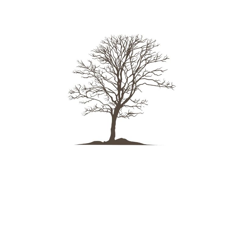 Tree without leaves Nature Forests Environment