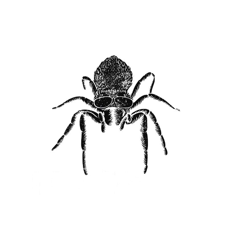 Nur Noch Ein Tarantula, Das Ich Verspreche -