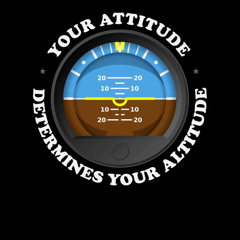Your Attitude Determines Your Altitude -