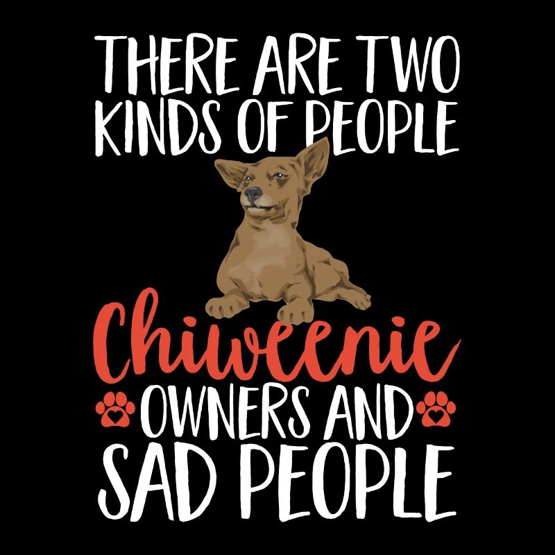 Chiweenie Dog