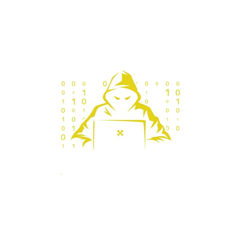Hacker codeur ordinateur piratage cadeau