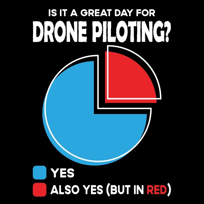 Est-ce un grand jour pour le pilotage de drones ?