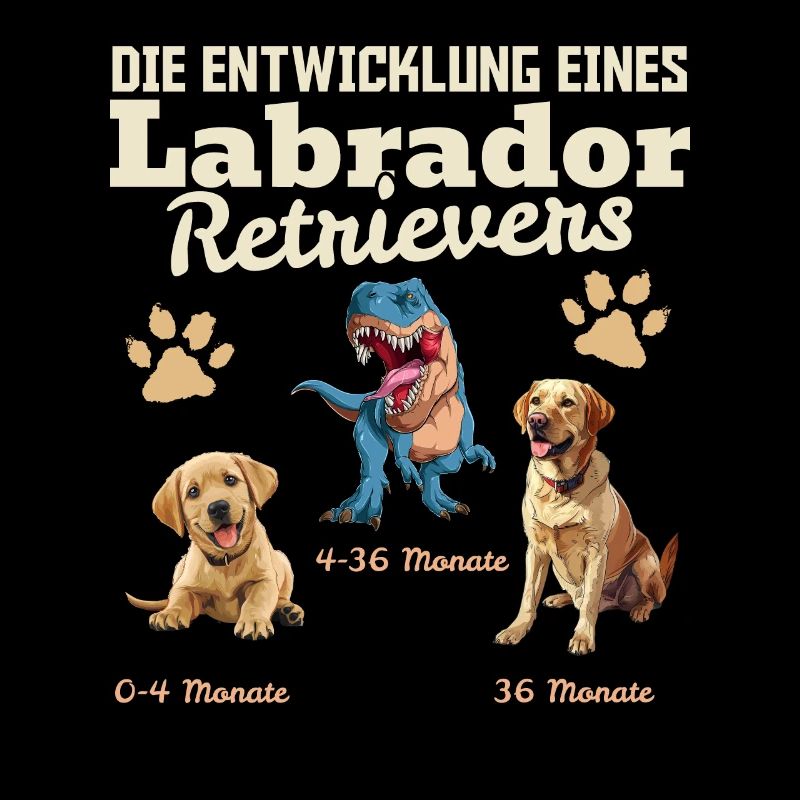 Hundebesitzer DIE EVOLUTION EINES LABRADOR