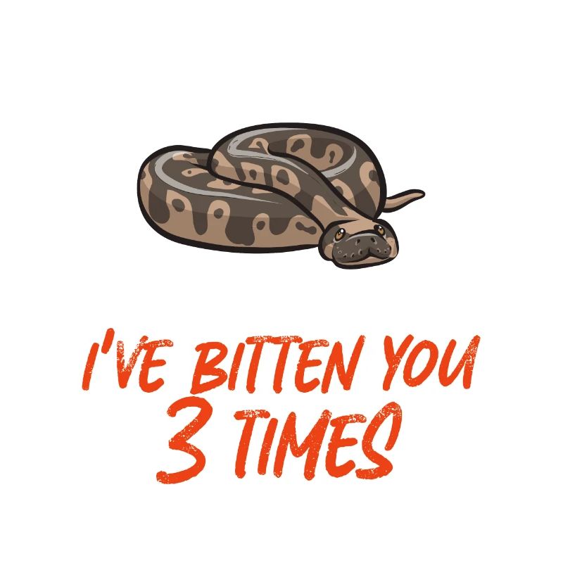 Ball Python Schlange Königspython
