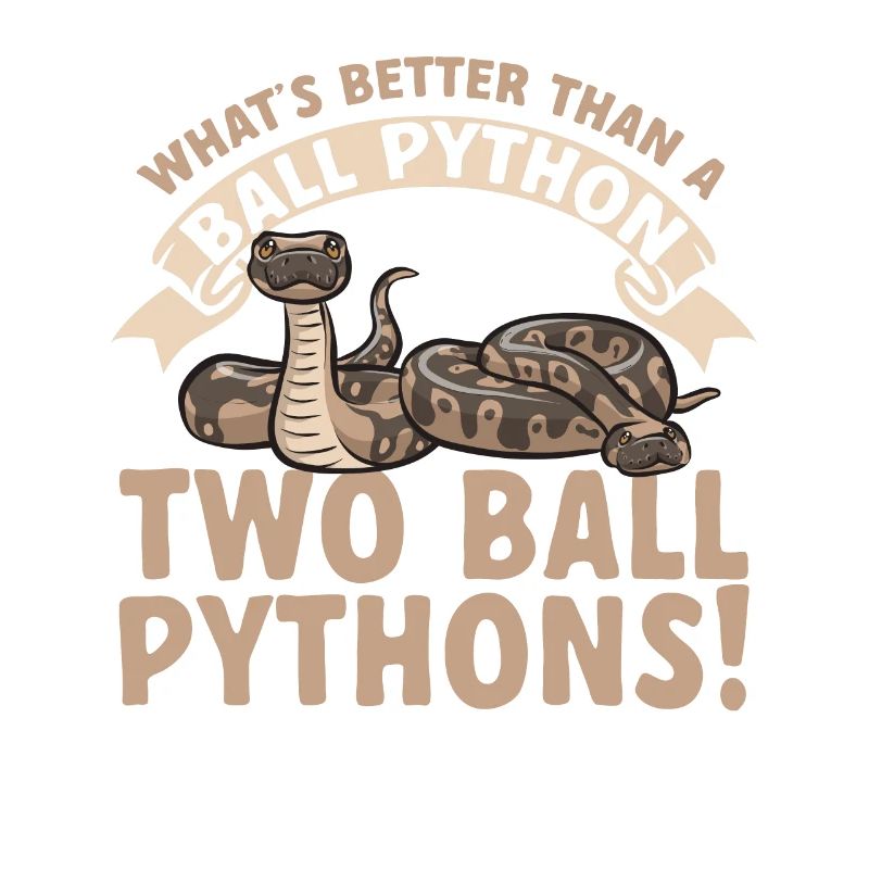 Ball Python Schlange Königspython