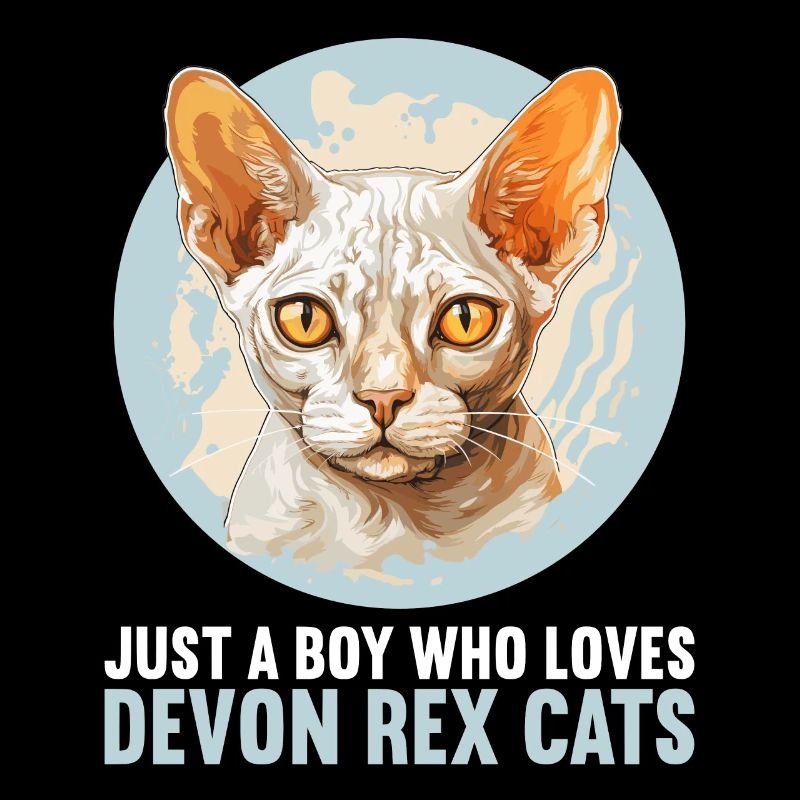 Chaton Devon Rex Chat Devon Rex