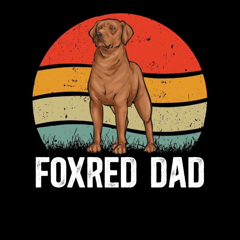 Fuchsroter Labrador Retriever Fox Labrador rouge
