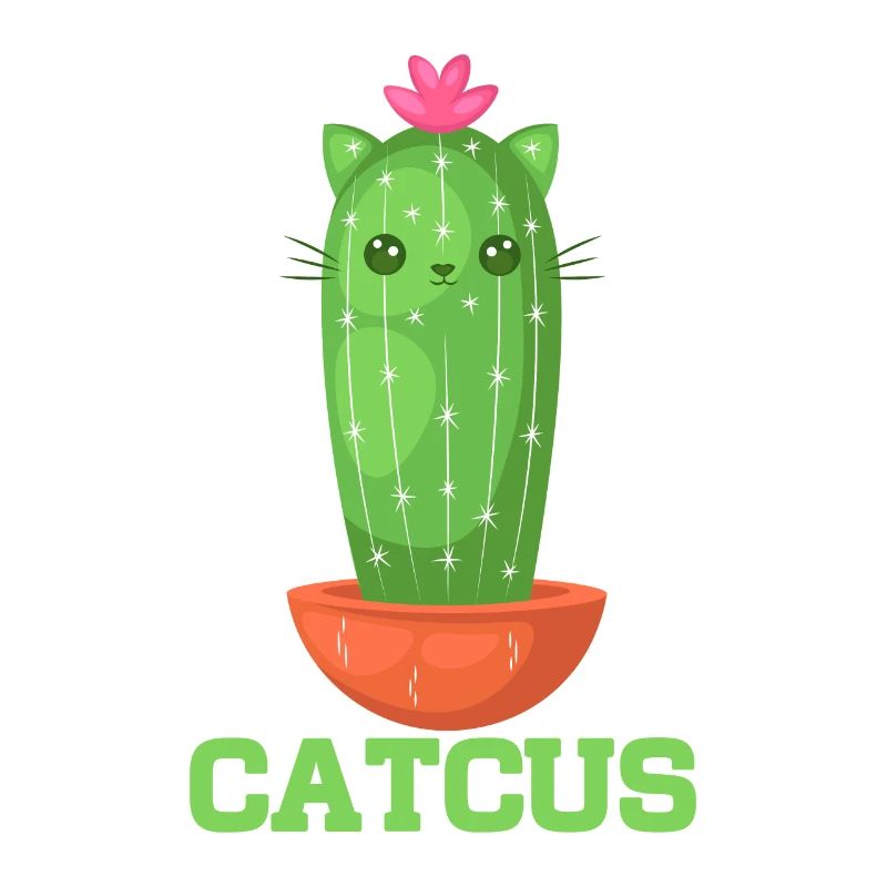 Cat Cactus Succulent Cactus Lover