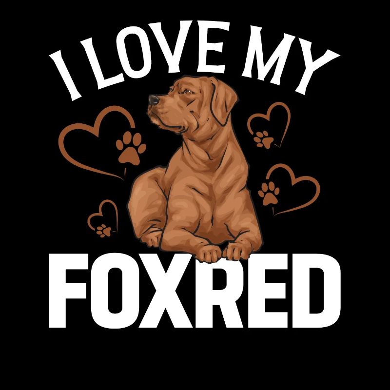 Fuchsroter Labrador Retriever Fox Red Labrador