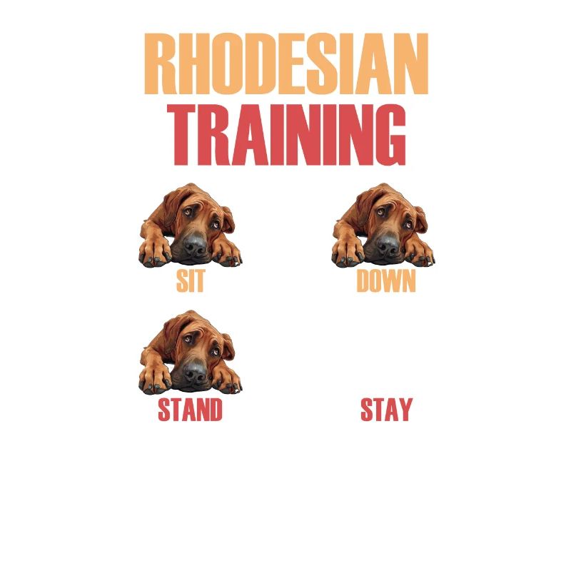 Rhodesian Training Propriétaire de Rhodesian Ridgeback