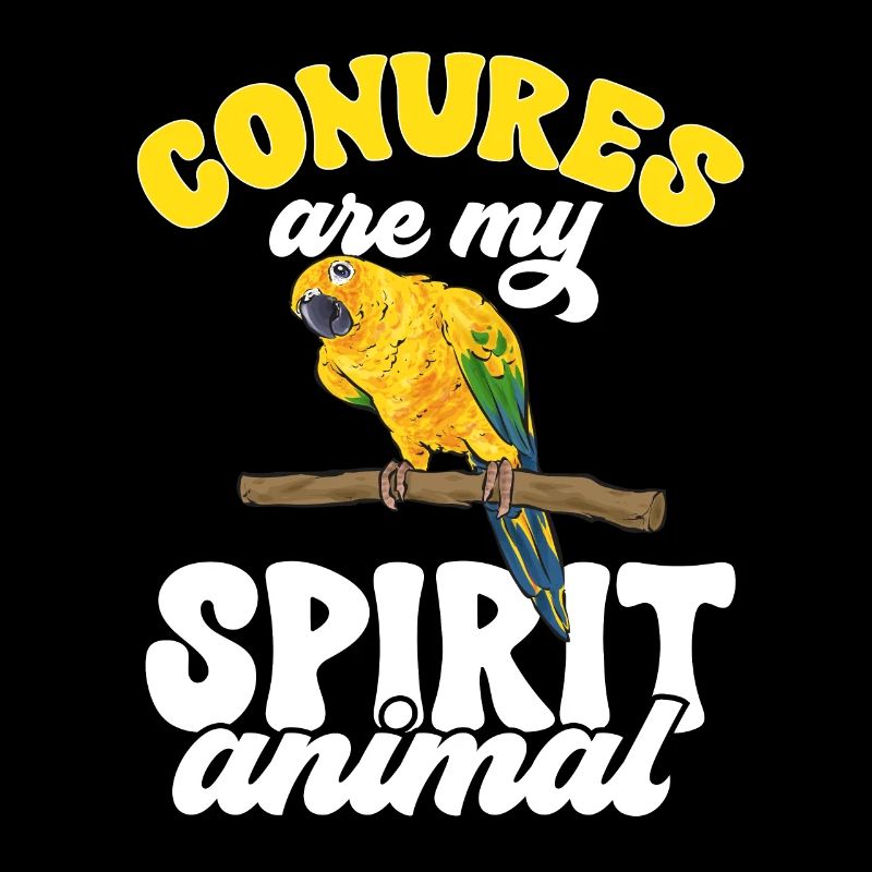 Perruche, Perroquet, Perruche, Oiseau