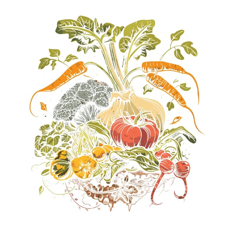 Permakultur Lebensmittel Compost