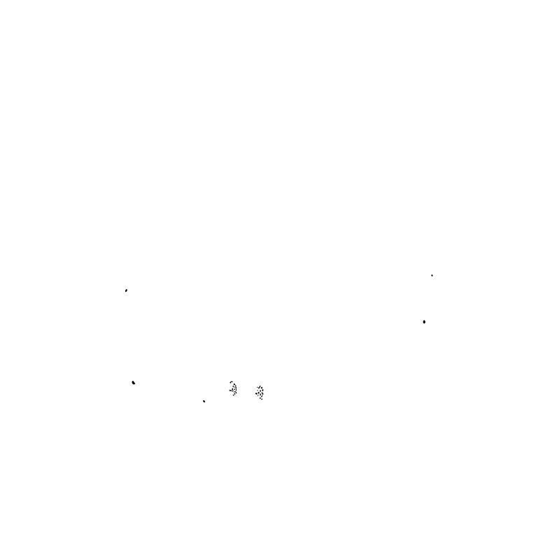 Rolling Tiny House Mode de vie minimaliste