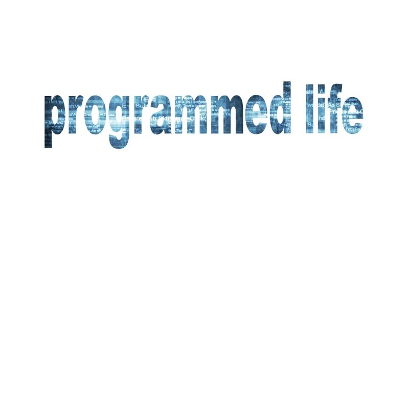 Programmed Life Typography Programmed Life