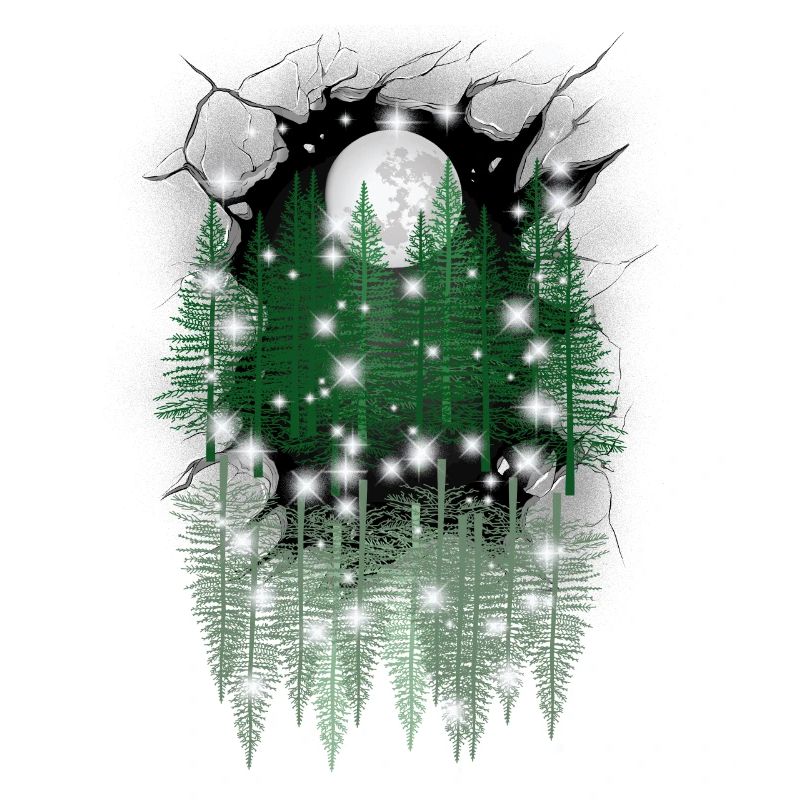 mystical nature moon forest spruce trees reflection