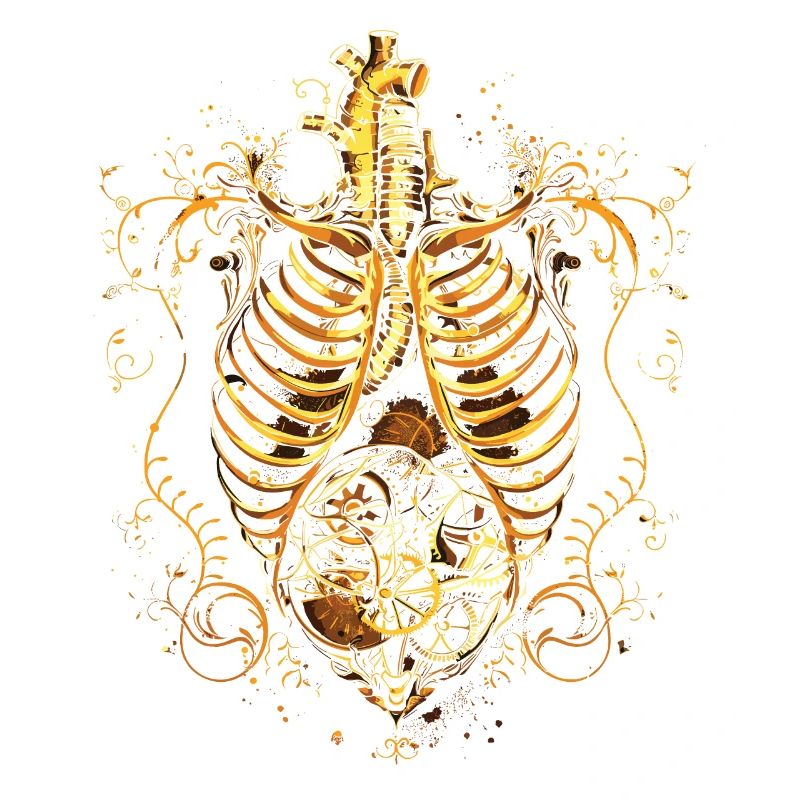 Steampunk Anatomie Steampunk Mécanique