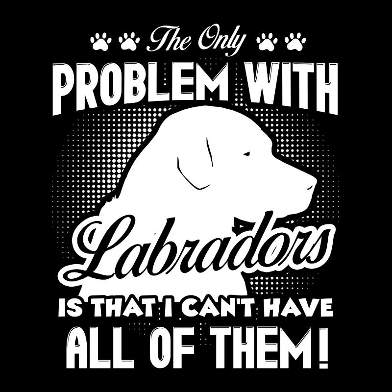 The Only Problem With Labradors