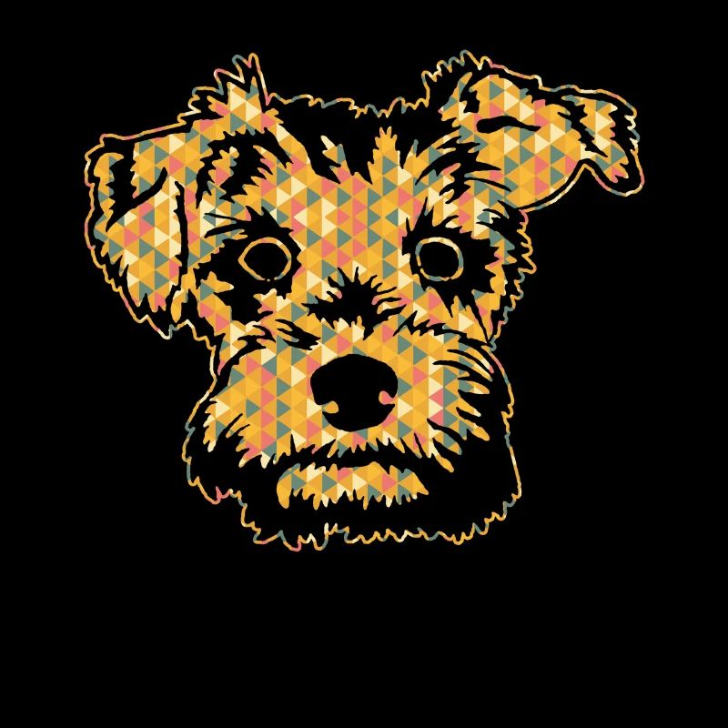 Schnoodle Geometric