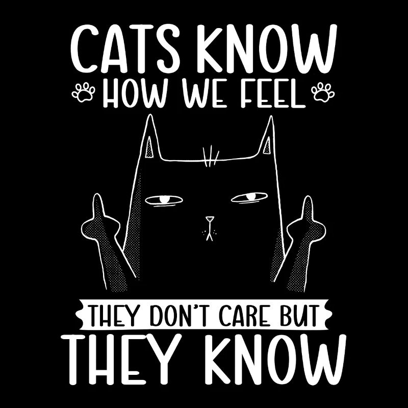 Cats know how we feel funny sarcasm