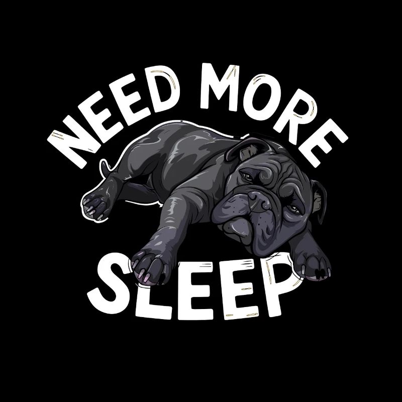 Need More Sleep Funny Pug