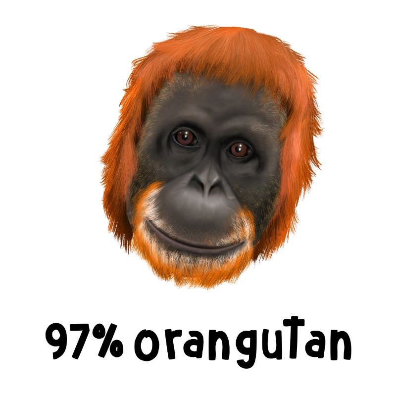 Monkey Ape Orangutan - 97 procent orangutang