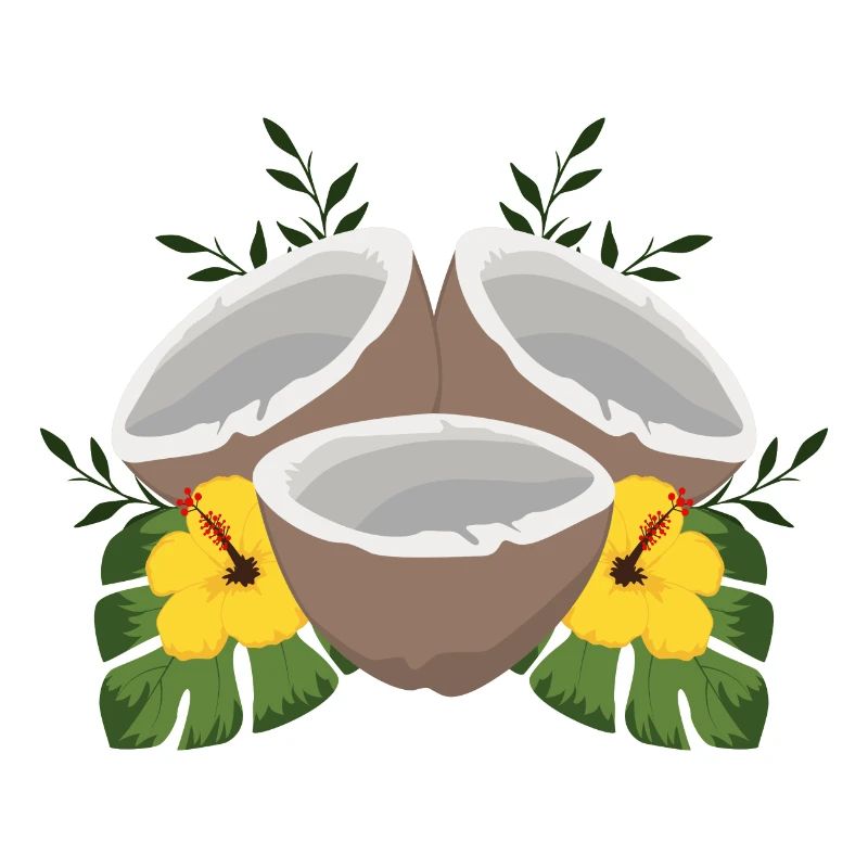 Noix de coco d'été