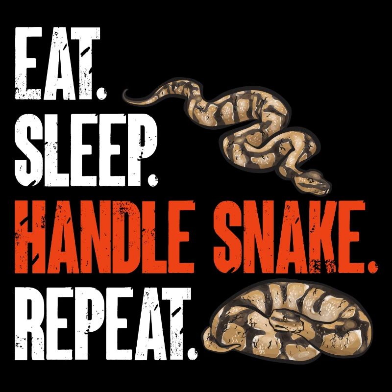 Ball Python Snake King Python