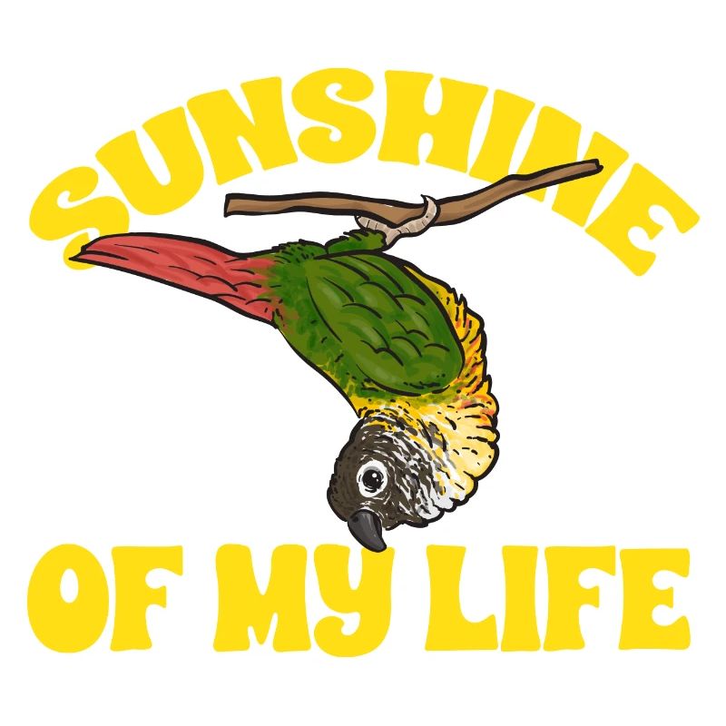 Perruche Molina Perroquet Perruche oiseau