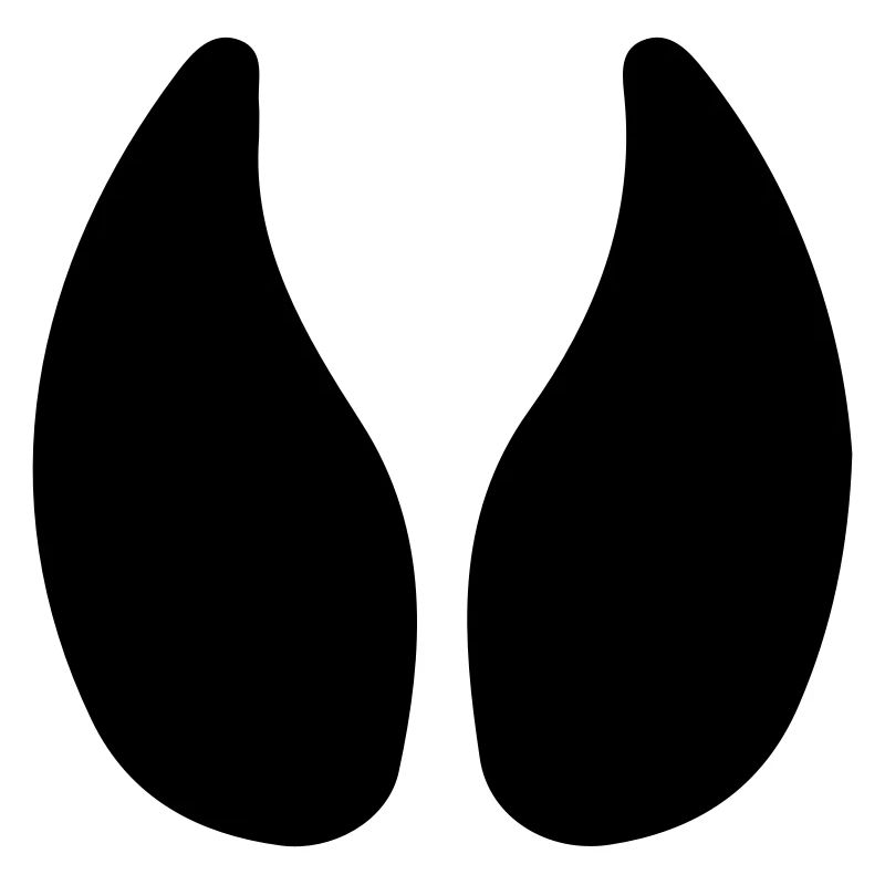 Empreinte de sabot vache étable étable