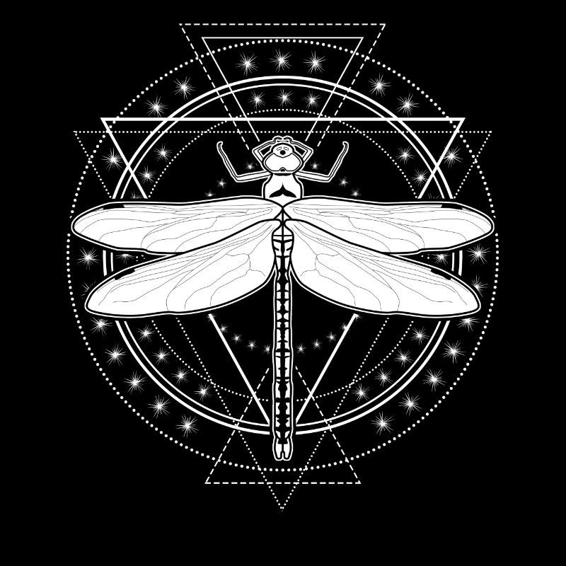 Libellule Occulte Libellules