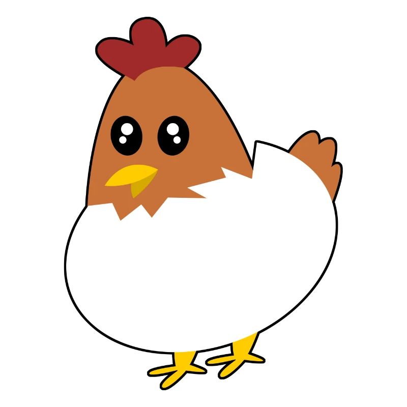 Chicken Eggs Chicken Egg Chicken Eggshell