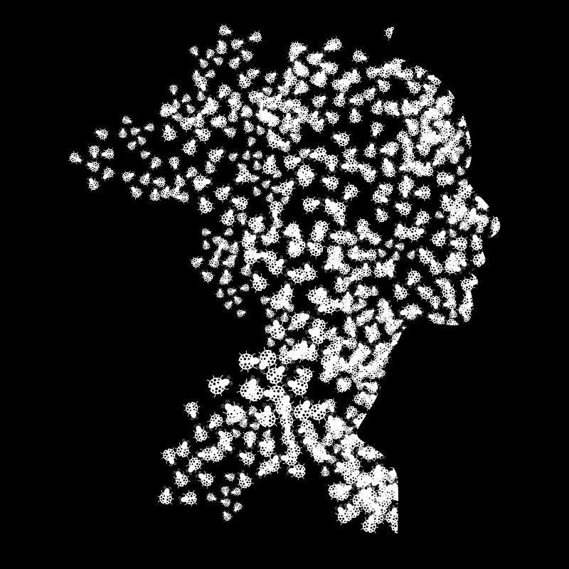 Ladybug Lady with Ladybugs