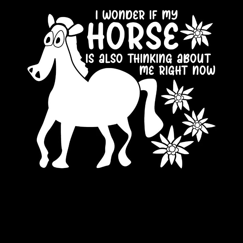 Haflinger Iclander Passeggiate a cavallo