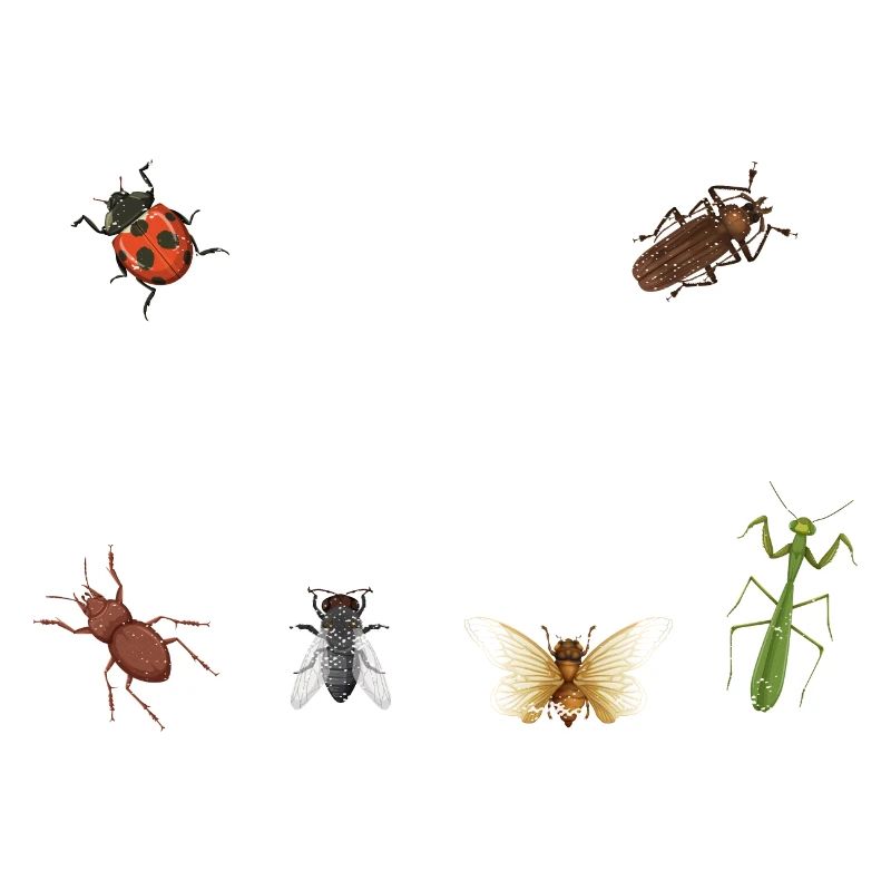 Entomologist Bug Science Easily Distracted By Bugs