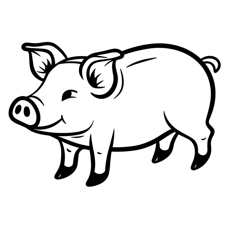 cochon