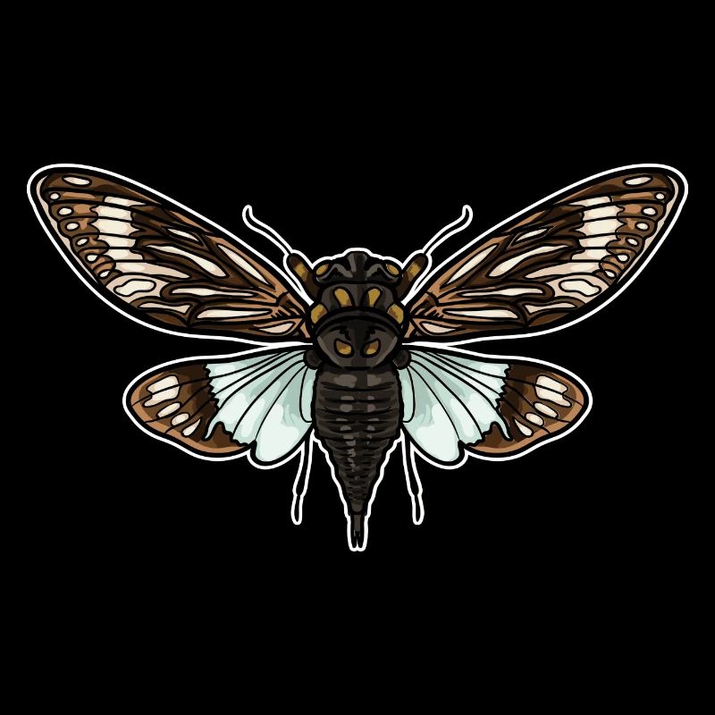 Cicada Colorful