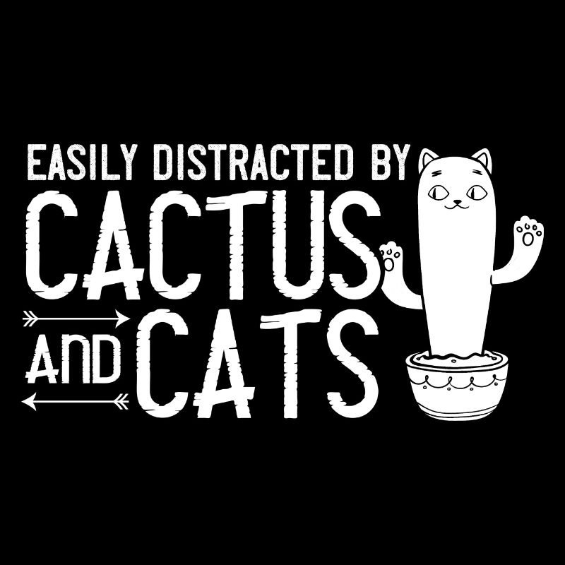 Catcus Cactus Chat Plantes Succulentes Cactus