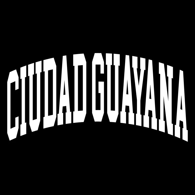 Ciudad Guyane