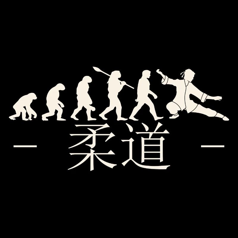 Karate evolution. martial arts. Gift Idea.Japan