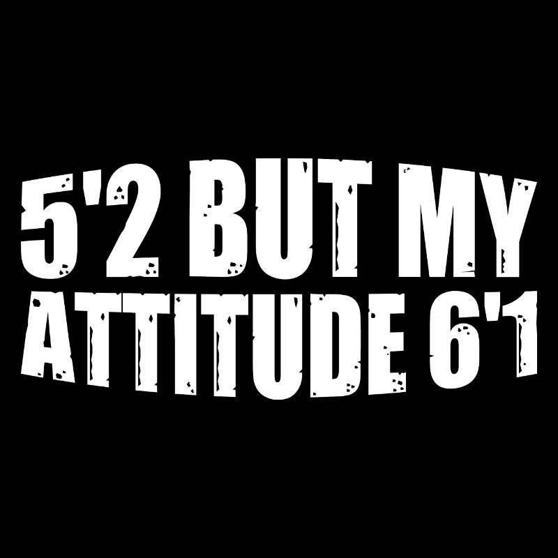 5'2 Mais mon attitude 6'1 8