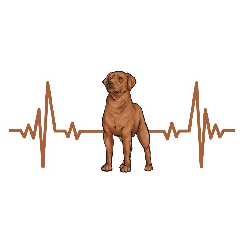 Fuchsroter Labrador Retriever Fox Red Labrador